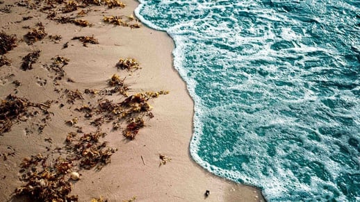 fondia_color_014_low-res HS